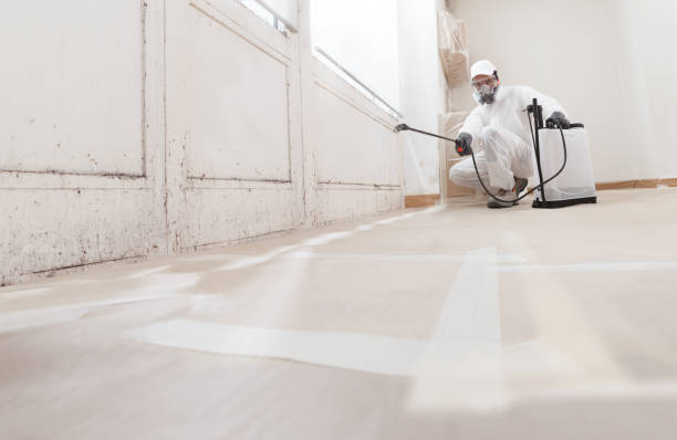 24/7 Emergency Attic Mold Removal experts in Haworth, NJ