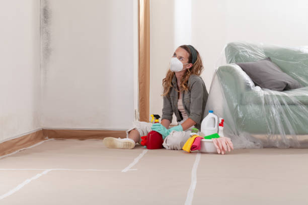 Reliable Attic Mold Removal contractor in Haworth, NJ by WQB Mold Removal
