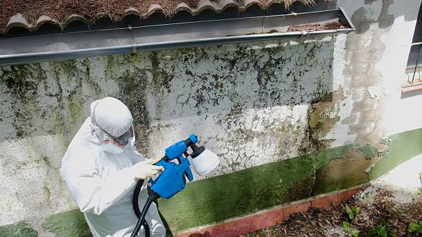 Top rated local Attic Mold Removal specialists in Haworth, NJ
